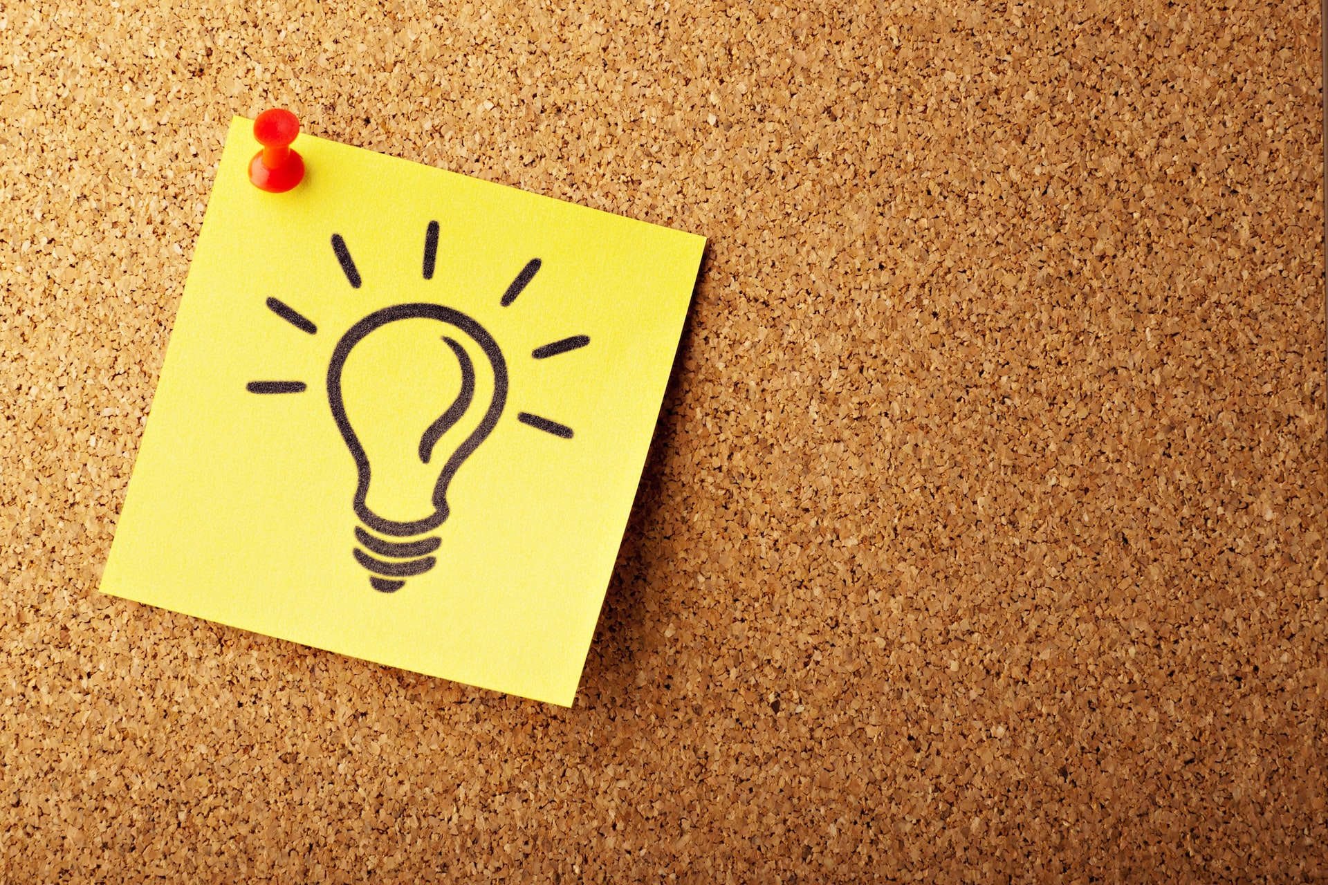everything you need to know about pathway program